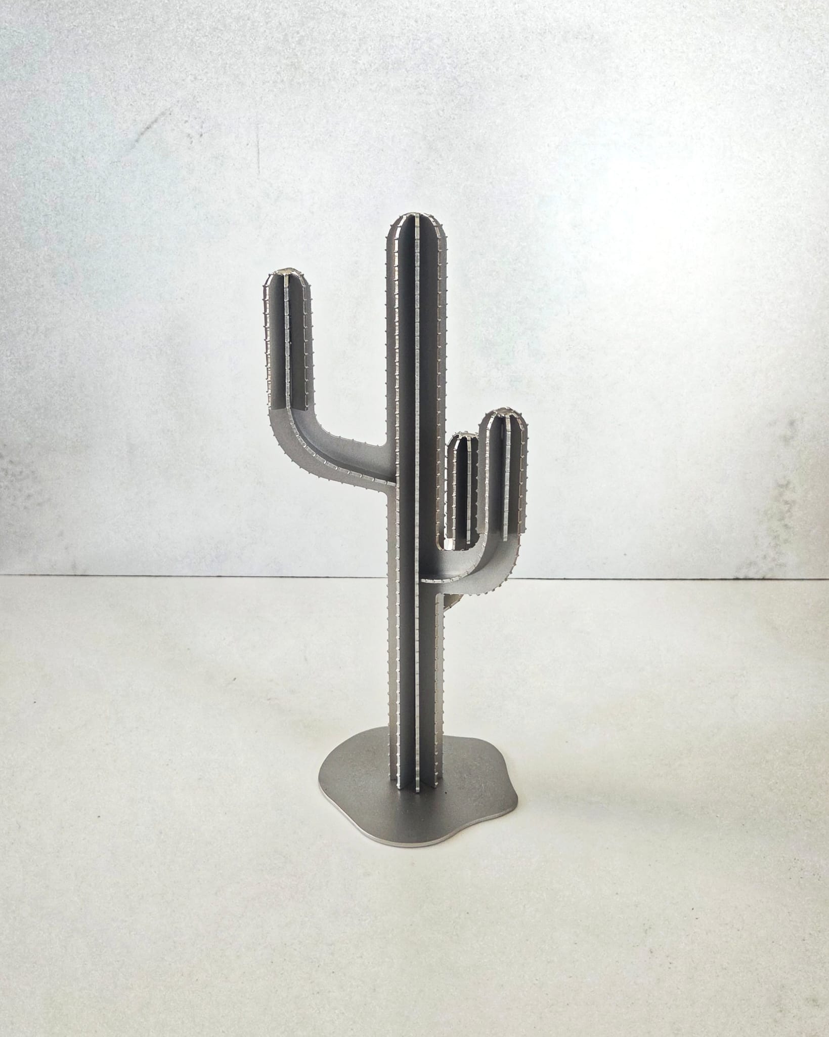 Cactus soprammobile - immagine 4