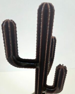 Alternative view of Cactus soprammobile