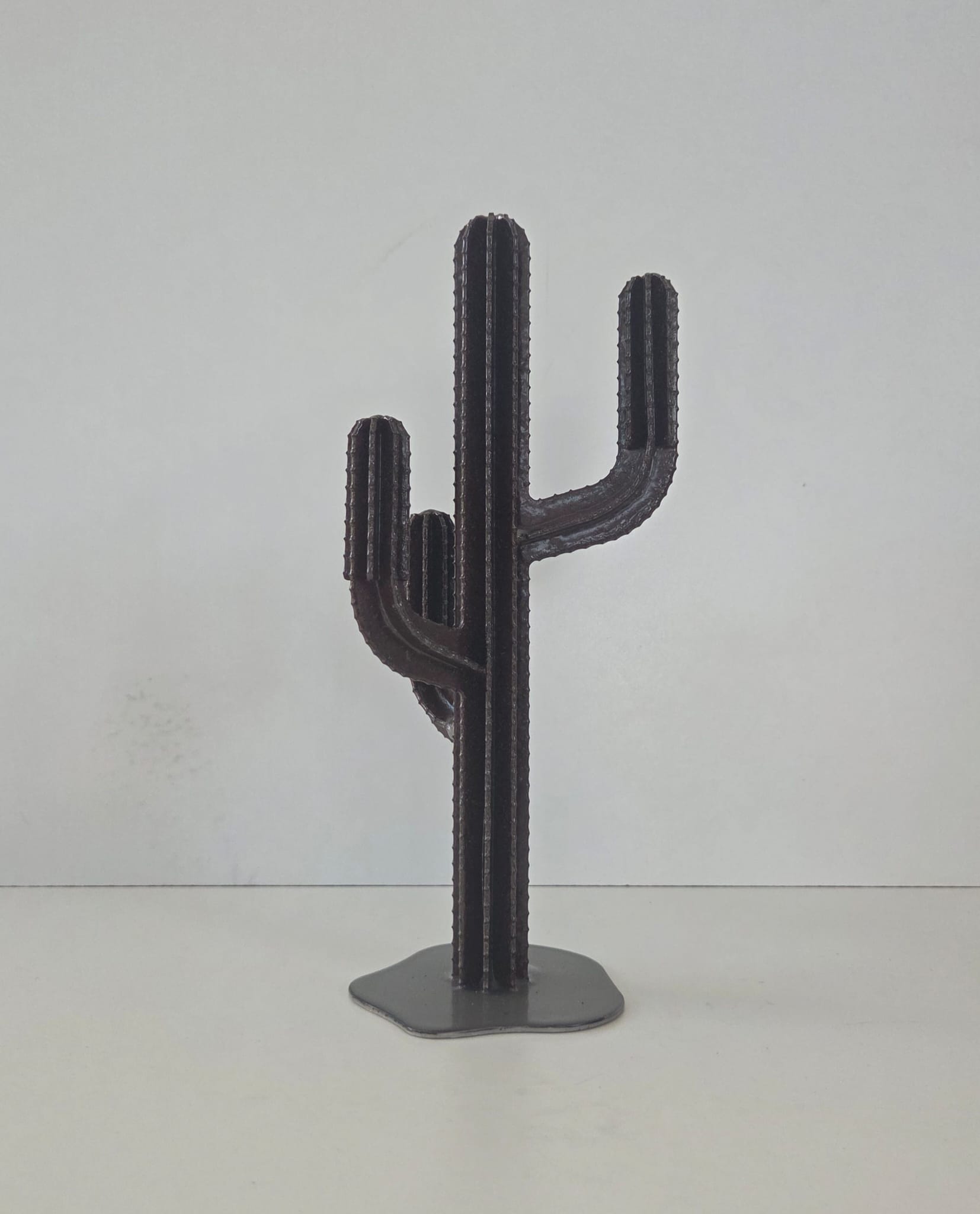 Cactus soprammobile - immagine 3