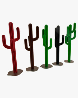 Cactus di design colorati
